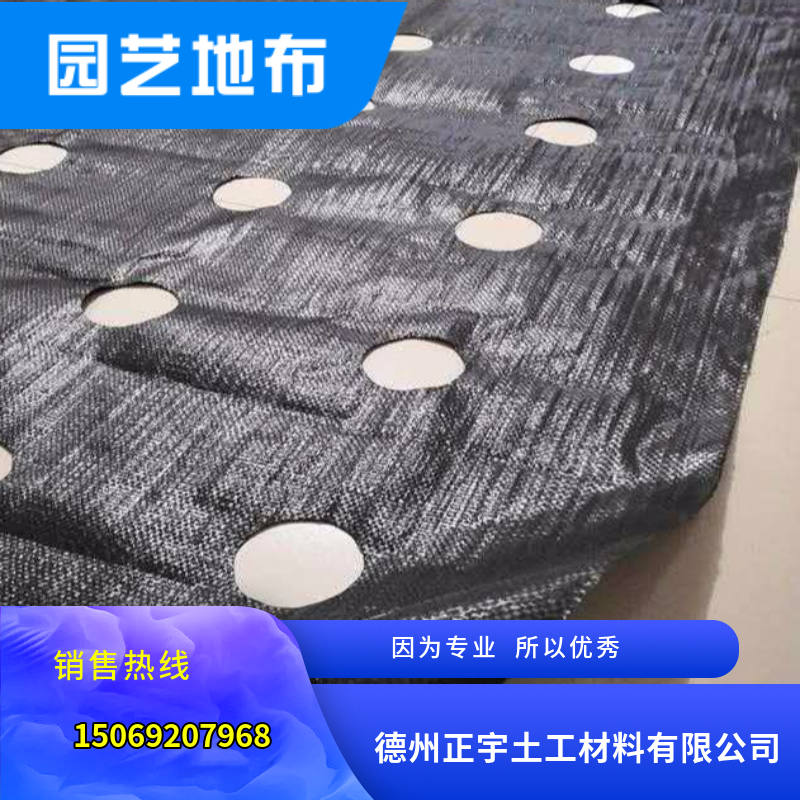 打孔園藝地布使用實(shí)景