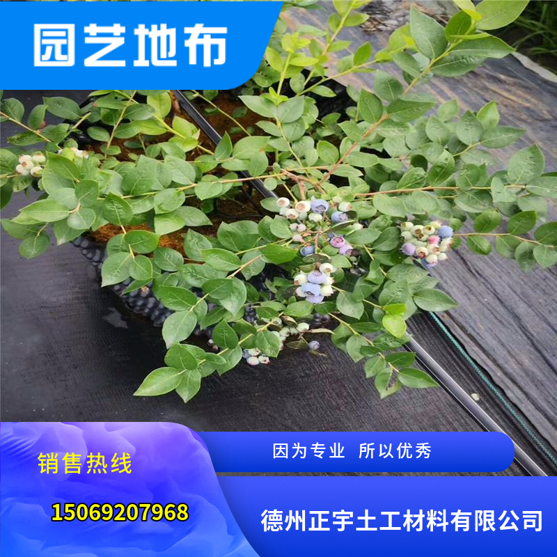 藍(lán)莓種植專用防草地布（防草布）