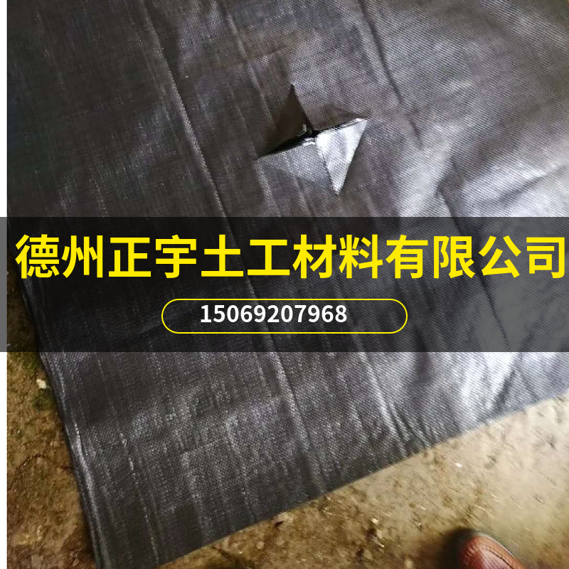 藍(lán)莓幼苗用切片打孔防草布（園藝地布）